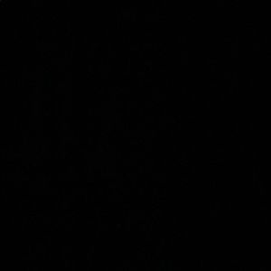 Meet your Posher, Chiang